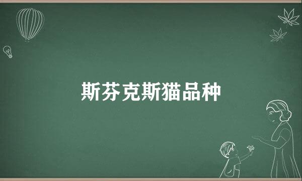 斯芬克斯猫品种