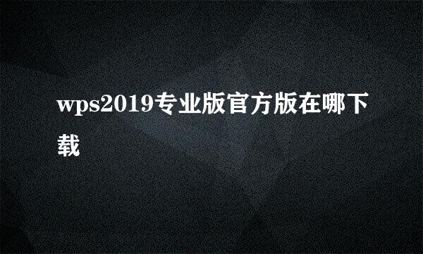wps2019专业版官方版在哪下载