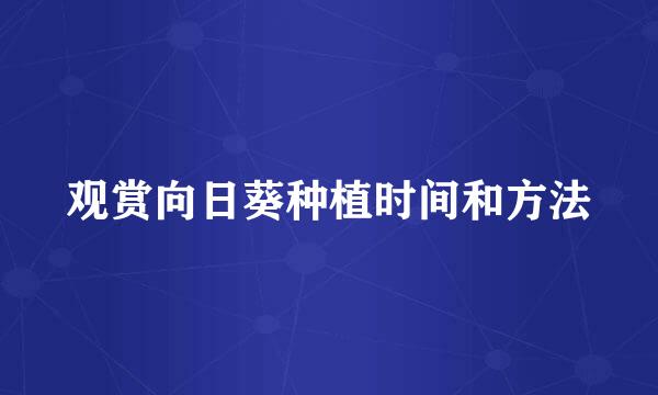 观赏向日葵种植时间和方法