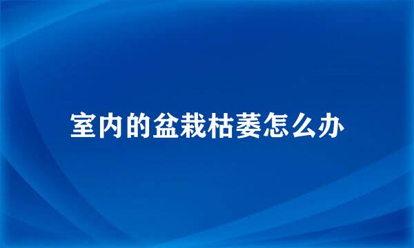 室内的盆栽枯萎怎么办