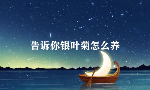 告诉你银叶菊怎么养