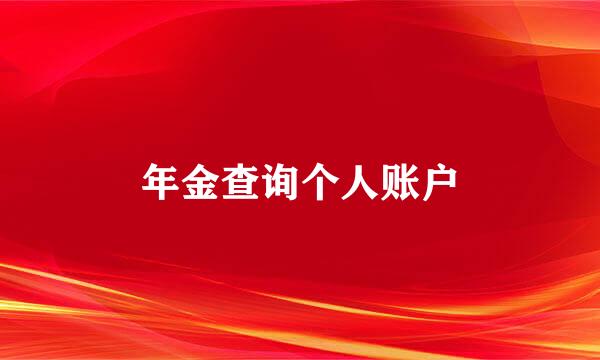 年金查询个人账户