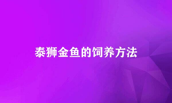 泰狮金鱼的饲养方法