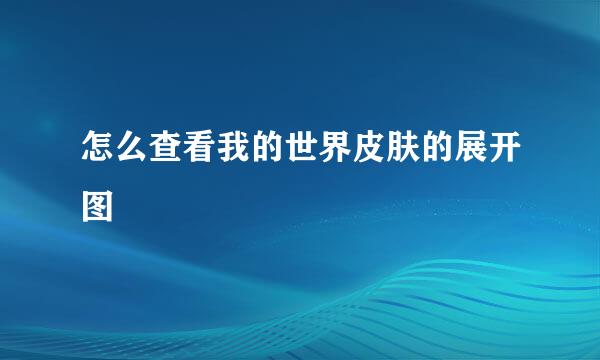 怎么查看我的世界皮肤的展开图