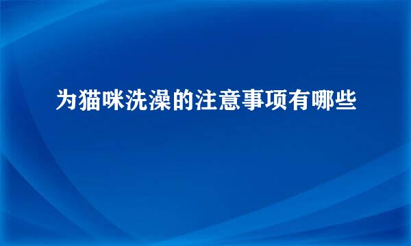 为猫咪洗澡的注意事项有哪些