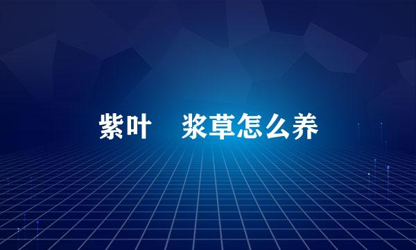 紫叶醡浆草怎么养