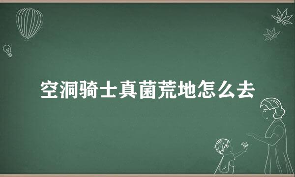空洞骑士真菌荒地怎么去