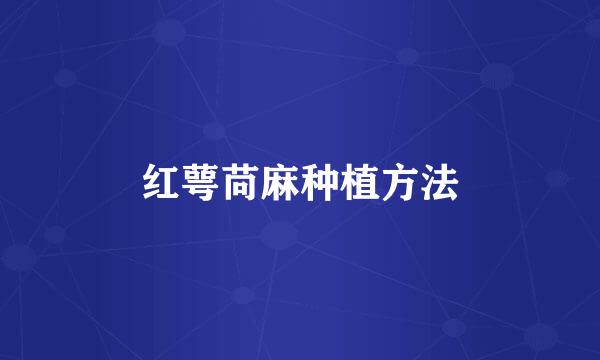 红萼苘麻种植方法