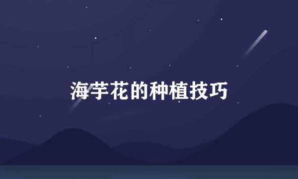 海芋花的种植技巧