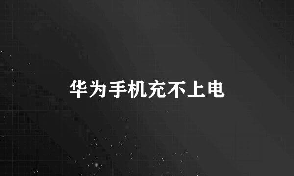 华为手机充不上电