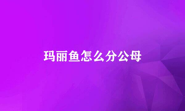 玛丽鱼怎么分公母