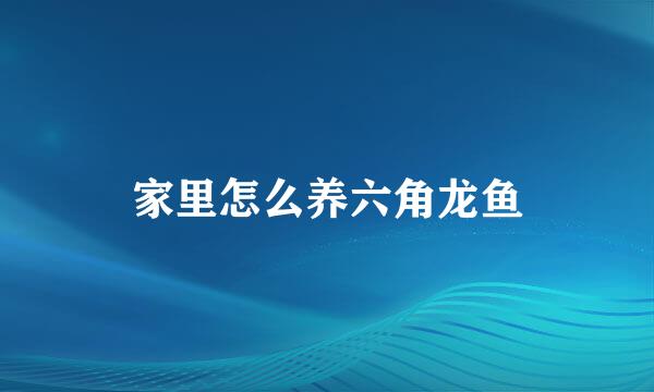 家里怎么养六角龙鱼