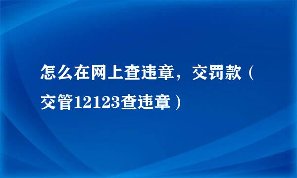 怎么在网上查违章，交罚款（交管12123查违章）