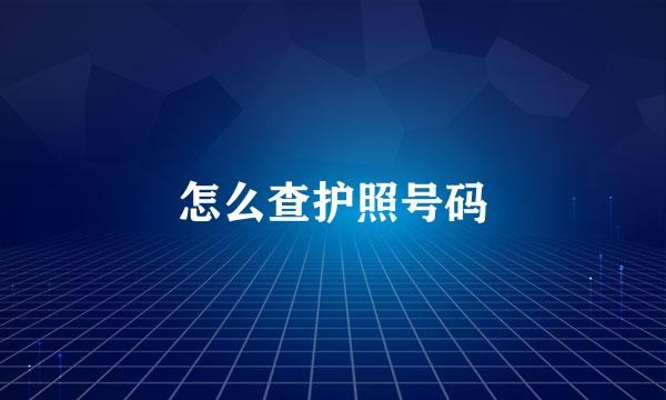 怎么查护照号码