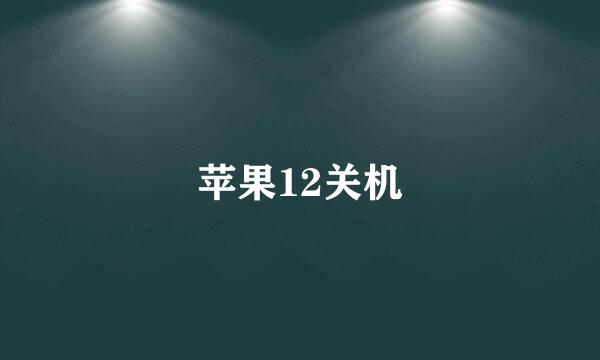 苹果12关机