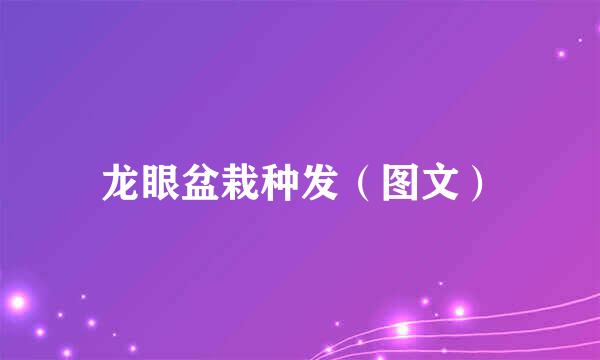 龙眼盆栽种发（图文）