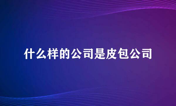 什么样的公司是皮包公司