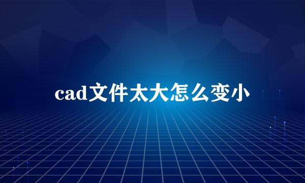 cad文件太大怎么变小