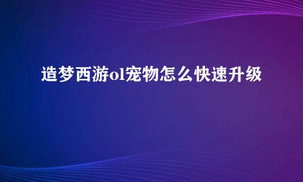 造梦西游ol宠物怎么快速升级