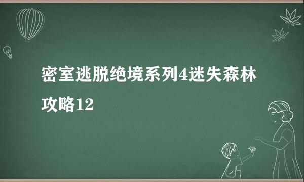 密室逃脱绝境系列4迷失森林攻略12