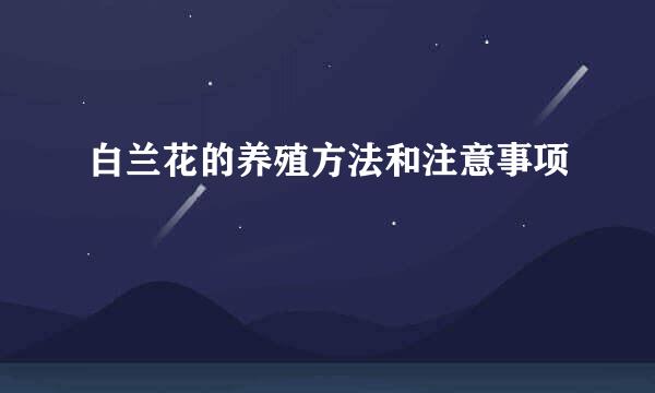 白兰花的养殖方法和注意事项