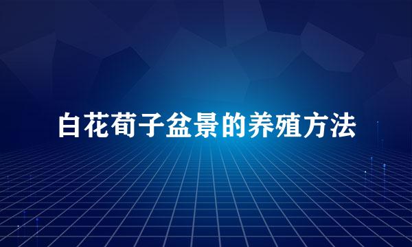 白花荀子盆景的养殖方法