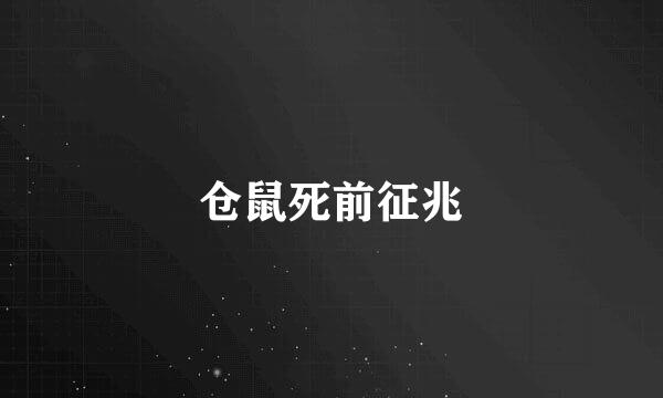 仓鼠死前征兆
