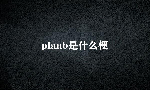 planb是什么梗