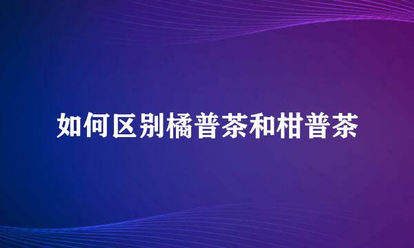 如何区别橘普茶和柑普茶