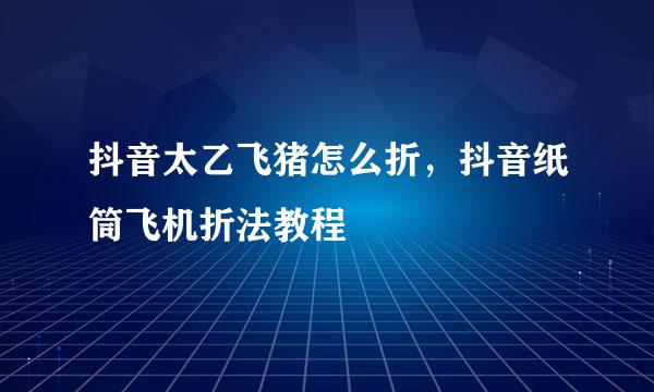 抖音太乙飞猪怎么折，抖音纸筒飞机折法教程