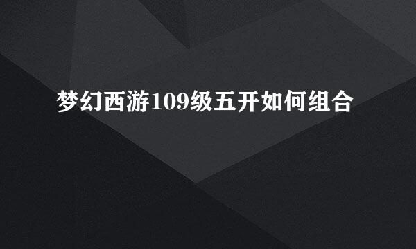 梦幻西游109级五开如何组合