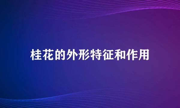 桂花的外形特征和作用