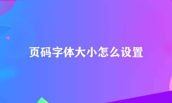 页码字体大小怎么设置