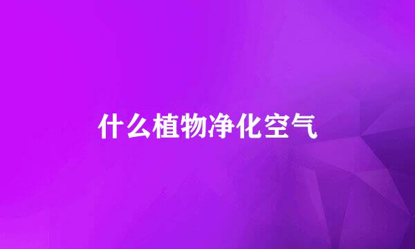 什么植物净化空气