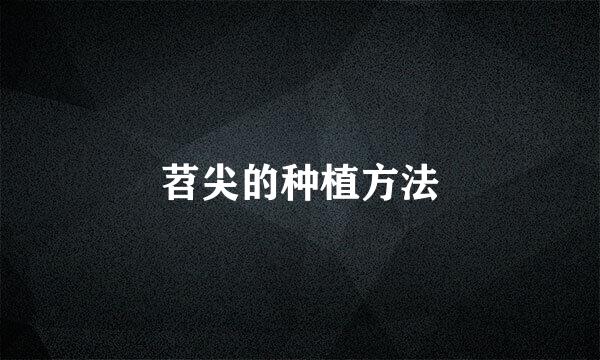 苕尖的种植方法