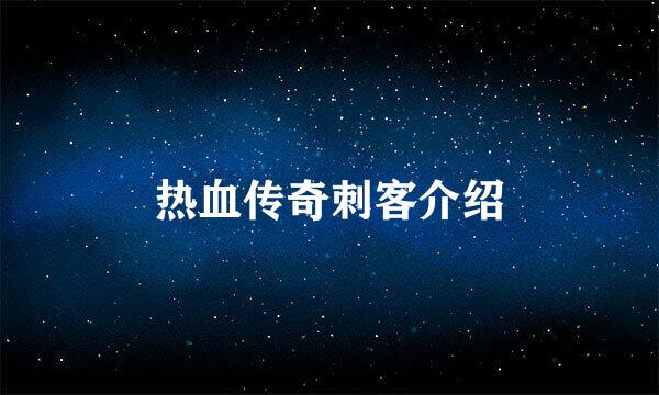 热血传奇刺客介绍