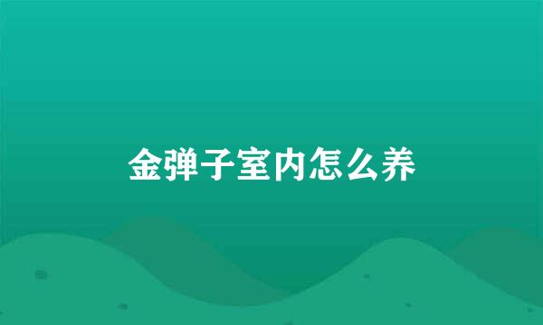 金弹子室内怎么养