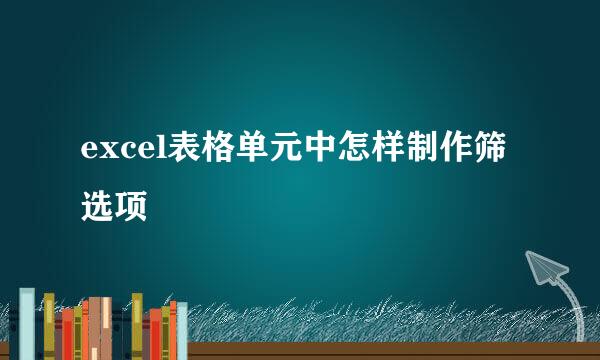 excel表格单元中怎样制作筛选项