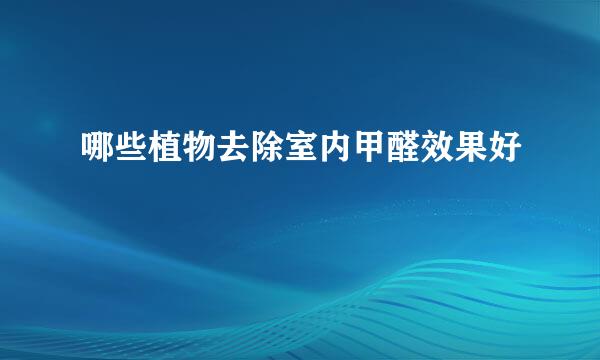 哪些植物去除室内甲醛效果好