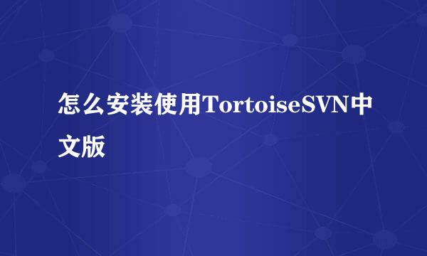 怎么安装使用TortoiseSVN中文版