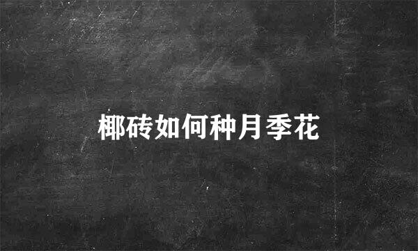 椰砖如何种月季花