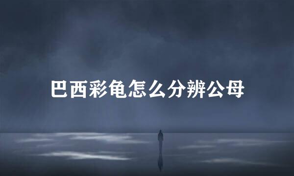 巴西彩龟怎么分辨公母
