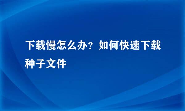 下载慢怎么办？如何快速下载种子文件