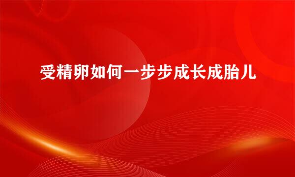 受精卵如何一步步成长成胎儿