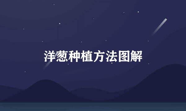洋葱种植方法图解