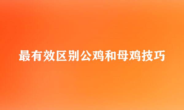 最有效区别公鸡和母鸡技巧