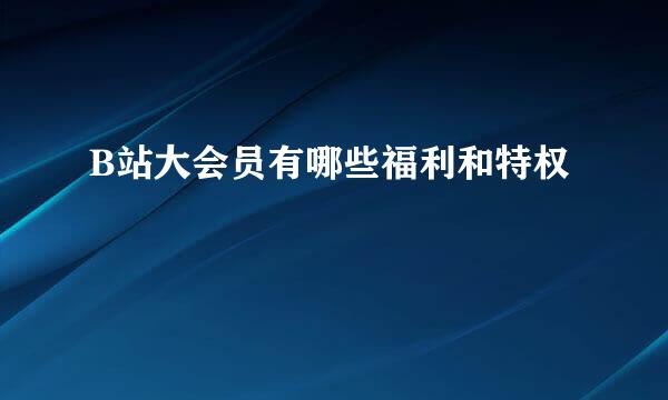 B站大会员有哪些福利和特权