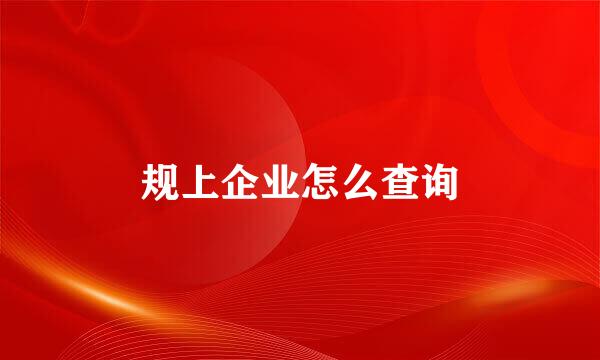 规上企业怎么查询
