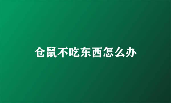 仓鼠不吃东西怎么办