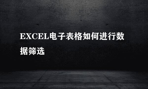 EXCEL电子表格如何进行数据筛选